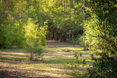 11418 161ST Street, Alachua, FL, 32615 — photo 2