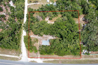 9580 HIGHWAY 351, Old Town, FL, 32680 — photo 2