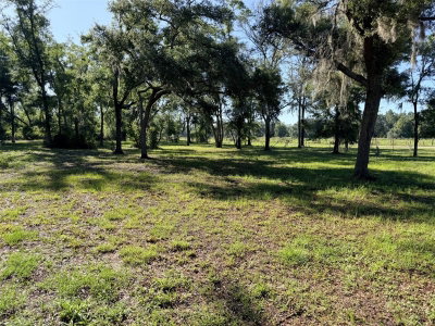 794 521 Street, Old Town, FL, 32680 — photo 2