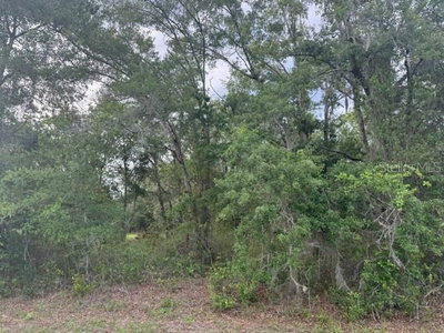 21902 69TH Place, Melrose, FL, 32666 — photo 2