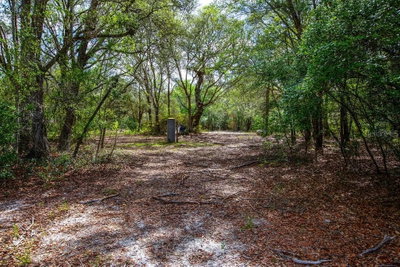 5350 3RD Lane, Trenton, FL, 32693 — photo 2