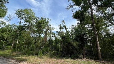 BUMBLE Street, Fort White, FL, 32038 — photo 2