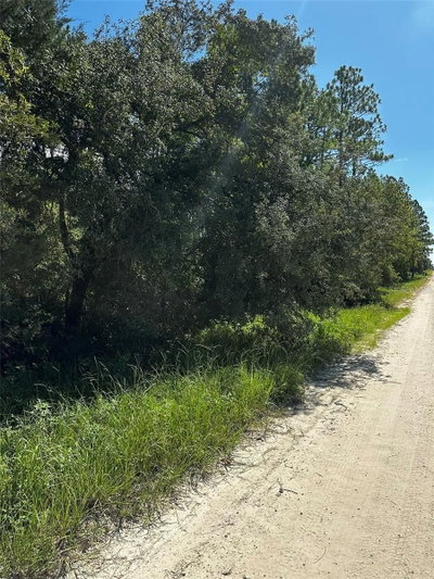 XX 21ST PLACE, Williston, FL, 32696 — photo 2