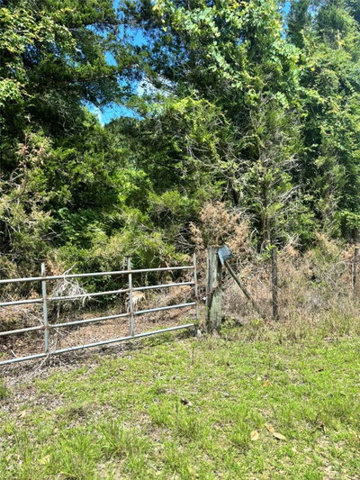 11916 80TH Court, Chiefland, FL, 32626 — photo 2