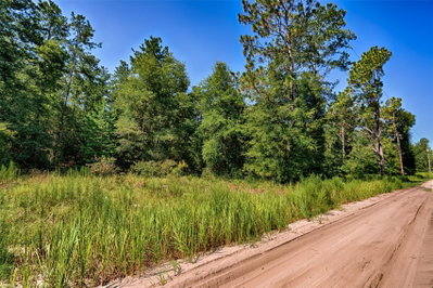 000 83RD Lane, Bronson, FL, 32621 — photo 2