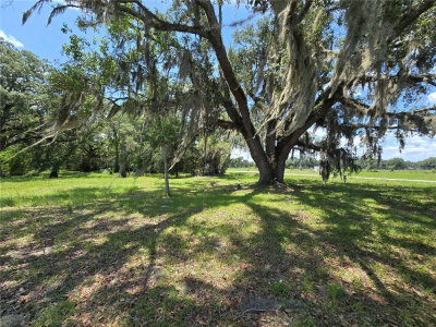 7563 COUNTY ROAD 405, Branford, FL, 32008 — photo 2