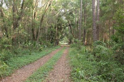 15821 SW 50TH Avenue, Archer, FL, 32618 — photo 2