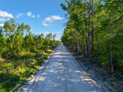SW 126TH AVE, LAKE BUTLER, Lake Butler, FL, 32054 — photo 2