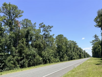 HWY 19, Inglis, FL, 34449 — photo 2