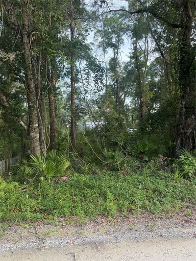 472 AVENUE Avenue, Old Town, FL, 32680 — photo 2