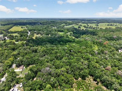 5725 219TH STREET Road, Micanopy, FL, 32667 — photo 2