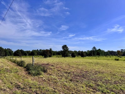 96 Avenue, Archer, FL, 32618 — photo 2