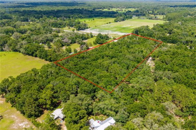 TBD 349 , LOT 15 Highway, Old Town, FL, 32680 — photo 2