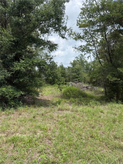 4951 142ND Court, Williston, FL, 32696 — photo 2