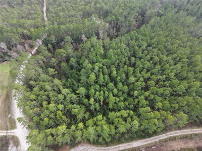 NE 130 CT RD, Fort Mc Coy, FL, 32134 — photo 2