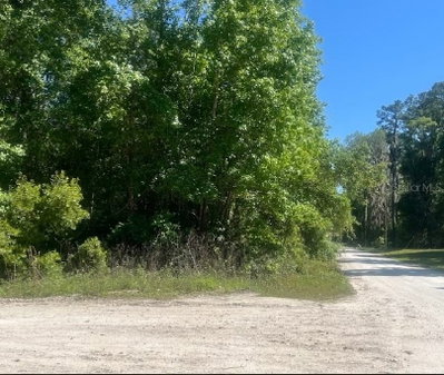 14220 182ND Lane, Williston, FL, 32696 — photo 2