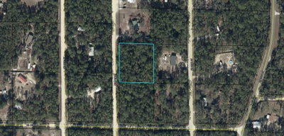 821ST Street, Old Town, FL, 32680 — photo 2