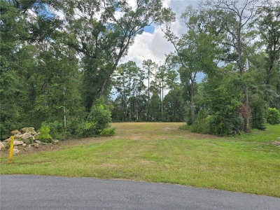 1003 175TH Court, Newberry, FL, 32669 — photo 2