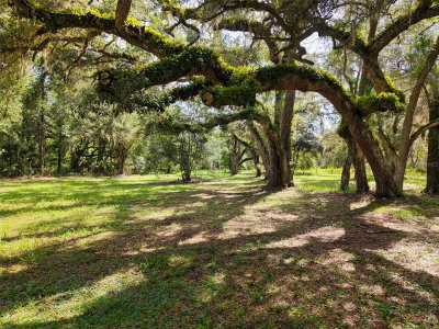 11 434TH Street, Old Town, FL, 32680 — photo 2