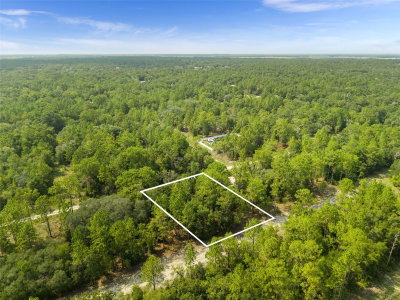 NE 156TH CT, Williston, FL, 32696 — photo 2