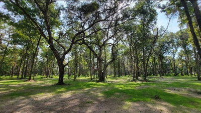 128TH Terrace, Reddick, FL, 32686 — photo 2