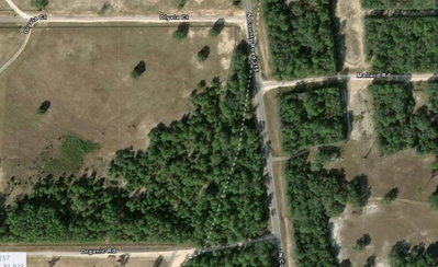 COUNTY ROAD 315C, Melrose, FL, 32666 — photo 2