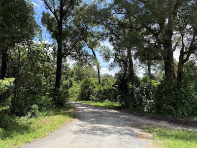 US HWY 27, Fort White, FL, 32038 — photo 2