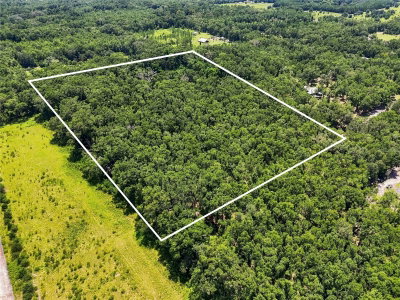 459 BIGFOOT Court, Fort White, FL, 32038 — photo 2