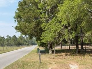 4760-A 55TH Avenue, Bell, FL, 32619 — photo 2