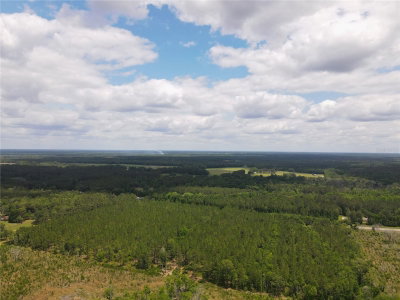 TBD STATE ROAD 121, Alachua, FL, 32615 — photo 2