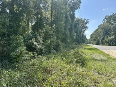 597TH Street, Old Town, FL, 32680 — photo 2