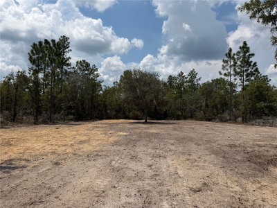TBD 101ST Terrace, Archer, FL, 32618 — photo 2