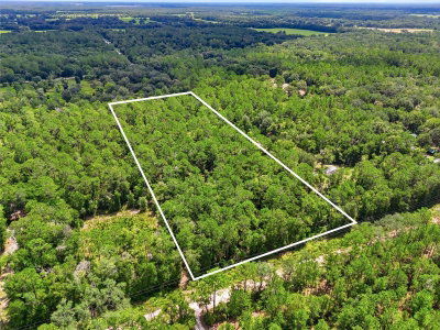 00 CENTERVILLE Avenue, Fort White, FL, 32038 — photo 2