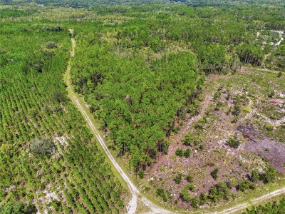 SE 51 Way, Trenton, FL, 32693 — photo 2