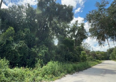 0000 182ND Place, Citra, FL, 32113 — photo 2