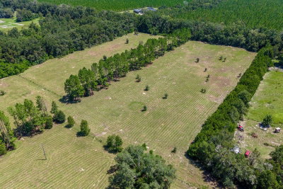 6900 50TH Avenue, Trenton, FL, 32693 — photo 2