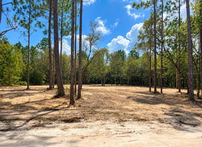 TBD 88TH Lane, Bronson, FL, 32621 — photo 2