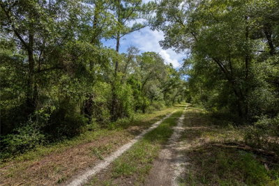 81ST Street, Bronson, FL, 32621 — photo 2