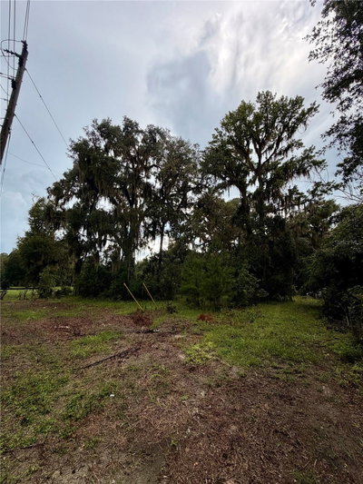 12602 WILLISTON Road, Micanopy, FL, 32667 — photo 2