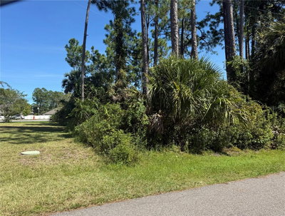 55 RYECLIFFE Drive, Palm Coast, FL, 32164 — photo 2