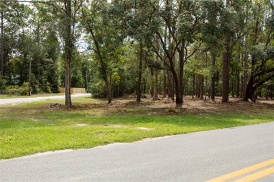 HILLSBOROUGH Avenue, Florahome, FL, 32140 — photo 2