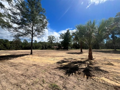 7731 97TH Court, Bronson, FL, 32621 — photo 2