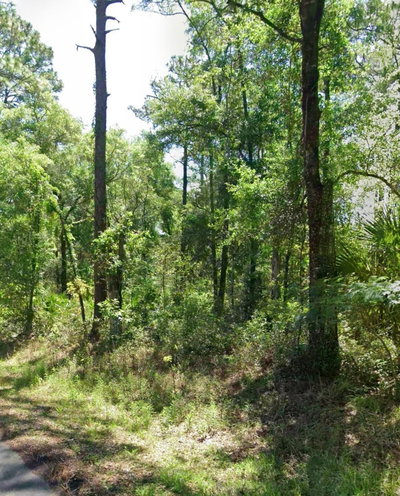 3676 WALKER Street, Inverness, FL, 34453 — photo 2