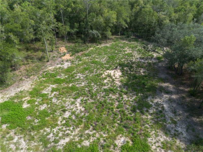 TBD 82ND Place, Bronson, FL, 32621 — photo 2