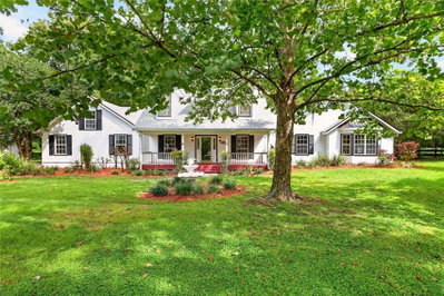17931 COUNTY ROAD 234, Micanopy, FL, 32667 — photo 2