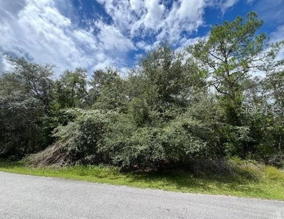 6252 CAVALIER Terrace, Citrus Springs, FL, 34433 — photo 2