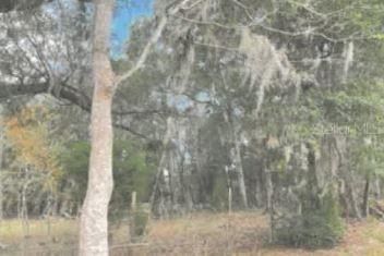 Archer, FL, 32618 — photo 2