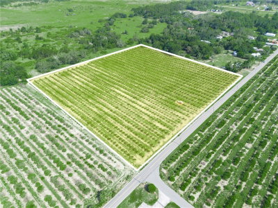 HOPSON Road, Frostproof, FL, 33843 — photo 2