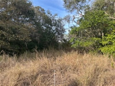 SUNSET Trail, Babson Park, FL, 33827 — photo 2