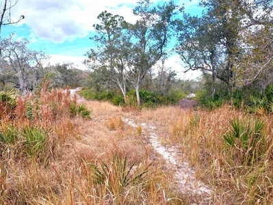 701 GOPHER Trail, Frostproof, FL, 33843 — photo 2